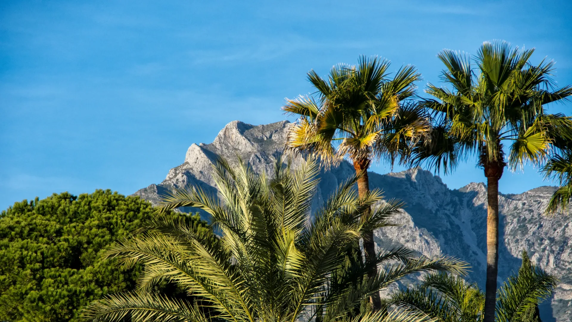 Lebensstil-Investition an der Costa del Sol: Luxus und Erholung
