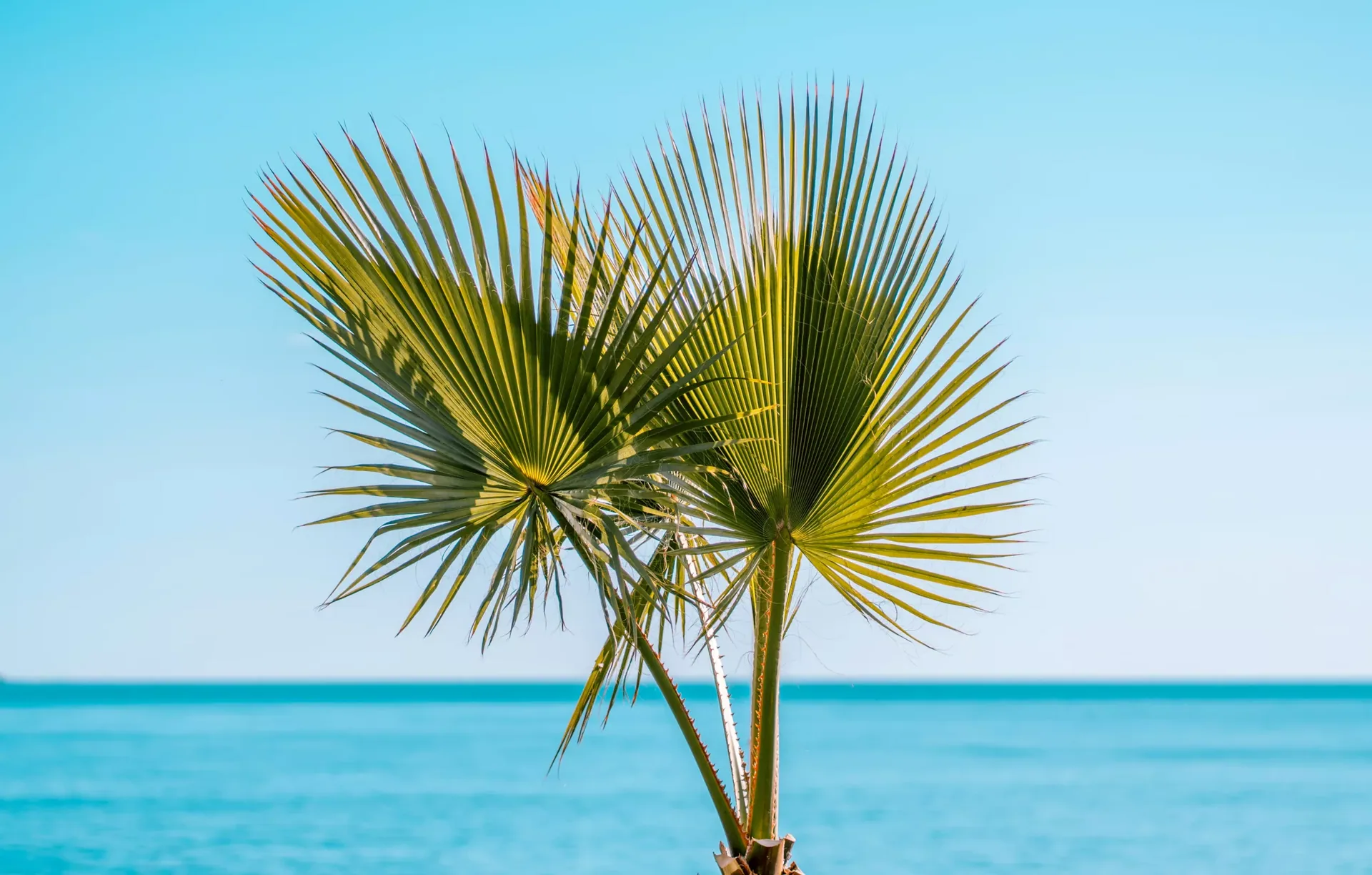Immobilieninvestment an der Costa del Sol: Chancen und Risiken