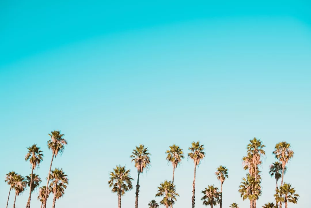 Exklusive Reiseerlebnisse mit VIP Reisen Marbella